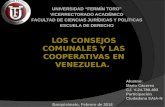 Presentación: Los consejos comunales y cooperativas en Venezuela