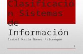 Clasificación sistemas de información