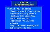 Ciclos biogeoq