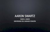 Presentación sobre Aaron swartz