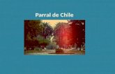 Características de la Ciudad de Parral - Chile