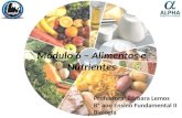 Módulo 6 – alimentos e nutrientes.alpha.2015