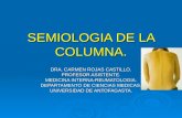 Semiología de columna 2008 (pp tshare)