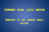 SEMANA AZUL LUIS AMIGO MARTES 17 DE JUNIO - 1