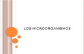 Los microorganismos