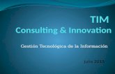 TIM INNOVATION - Consulting & Innovation
