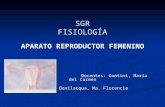 Fisiología aparato reproductor femenino