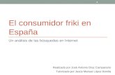 El consumidor Friki en España, Un análisis de las búsquedas en internet