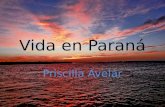 Vida En Paraná