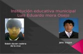 Institución educativa municipal luis eduardo mora osejo2