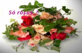 9 Rosas  1
