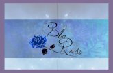 Presentacion Blue Rose