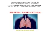 Sistema respiratorio n° 8