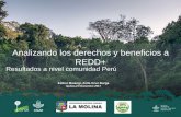 Analizando los derechos y beneficios de REDD+: Resultados a nivel de la comunidad en Perú