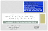Instrumento NECPAL: Paciente Crónico Complejo