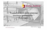 Tratamientos para obtener madera ignifugada / Sánchez Sandoval