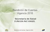 (2017-068) INFORME DE GESTION DE SALUD DE LA VIGENCIA 2016