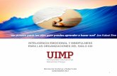 Taller de  Mindfulness para Organizaciones UIMP 2017_Rafael Cobo