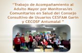 Presentacion trabajo monitoras adulto mayor consejo consultivo de usurios cesfam garin 2017