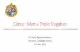 Cancer Mama Triple Negativo