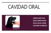 Anatomía veterinaria - Cavidad oral y revestimiento seroso del abdomen