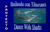 Dance with Sharks