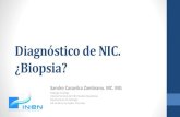 Diagnóstico de NIC. ¿Biopsia?