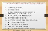 Metabolismo de carbohidratos medc15
