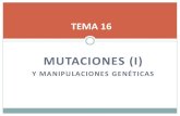 Tema 16 (1ª parte). Mutaciones