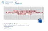 Perdida y el desperdicio de alimentos en las redes de pesca de enmalle y trasmallo - Perú