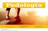 Revista Podologia Online
