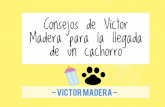 Consejos de Victor Madera para la llegada de un cachorro