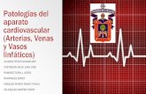 patologías del aparato cardiovascular (arterias , venas y vasos linfaticos
