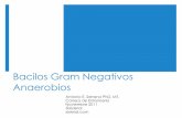 Curso de Microbiología - 17 - Gram Negativos Anaerobios