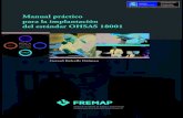 Manual practico-implantacion-ohsas-18001