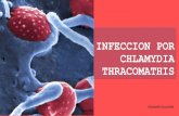 Infeccion por Chlamydia Thracomathis