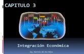 Tema 3  - Integracion Económica