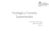 Fisiología y tumores suprarrenales