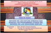 Presentación tesis Porfirio Tenorio Ramos - UPEA