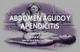 Abdomen agudo y apendicitis aguda