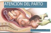 Atención del parto y al recién nacido