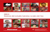 Talentos Rurales: Resumen Chile