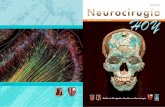 Neurocirugía Hoy, Vol. 10, Numero 28