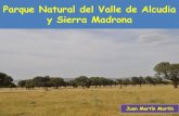 Parque Natural del Valle de Alcudia y Sierra Madrona.