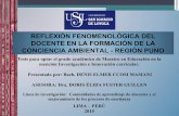 REFLEXIÓN FENOMENOLÓGICA DEL DOCENTE EN LA FORMACIÓN DE LA CONCIENCIA AMBIENTAL - REGIÓN PUNO
