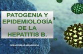 Patogenia y epidemiología de la hepatitis B y C