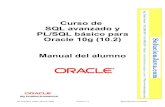 Curso de SQL avanzado y PL/SQL básico para Oracle 10g (10 ...solucionjava.com/pdf/Curso_Oracle_PLSQL.pdf · Curso de SQL avanzado y PL/SQL básico para Oracle 10g (10.2) Pagina 5