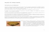 MUSEO DE TERRA SANTA - franciscanos- · PDF fileHISTORIA DE LAS LÁMPARAS ... herodiano, recipiente cilíndrico aplastado, base plana. Estrecho anillo rodeado por una moldura. Boquilla