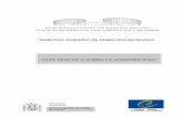 TRIBUNAL EUROPEO DE DERECHOS HUMANOS · PDF filetribunal europeo de derechos humanos guÍa prÁctica sobre la admisibilidad guÍa prÁctica sobre la admisibilidad abogacÍa general