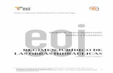 REGIMEN JURÍDICO DE LAS OBRAS HIDRAÚLICASapi.eoi.es/api_v1_dev.php/fedora/asset/eoi:45241/componente45240.pdf · Master en Ingeniería Medioambiental y Gestión del Agua 1 Módulo